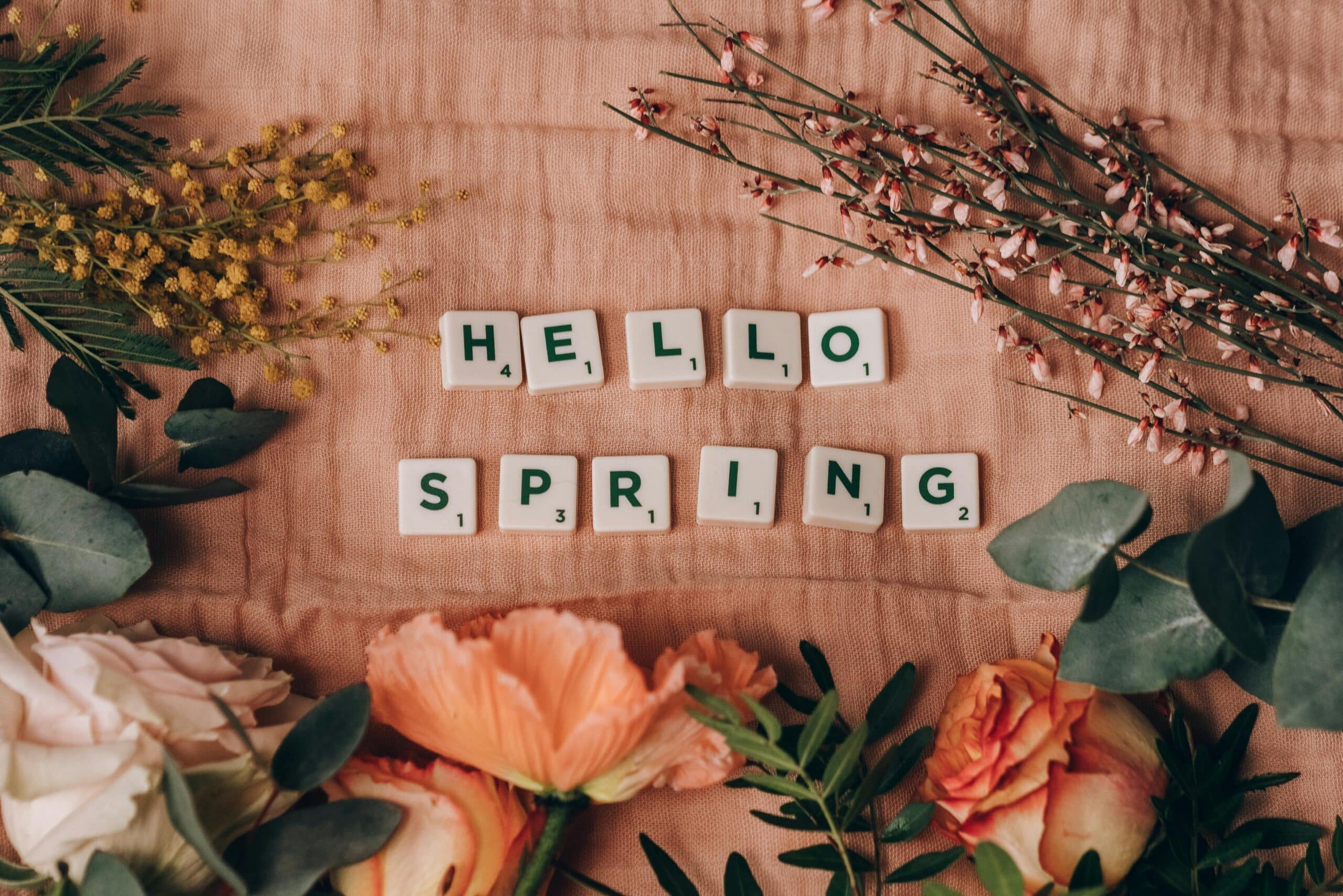 Spring Massage at Luna Day: Breath and Body Energy